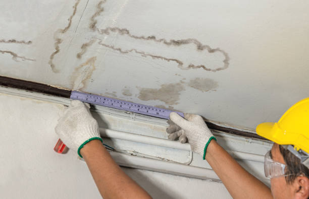 Reliable Water Damage contractor in Lavon, TX by Water Damage Irwin